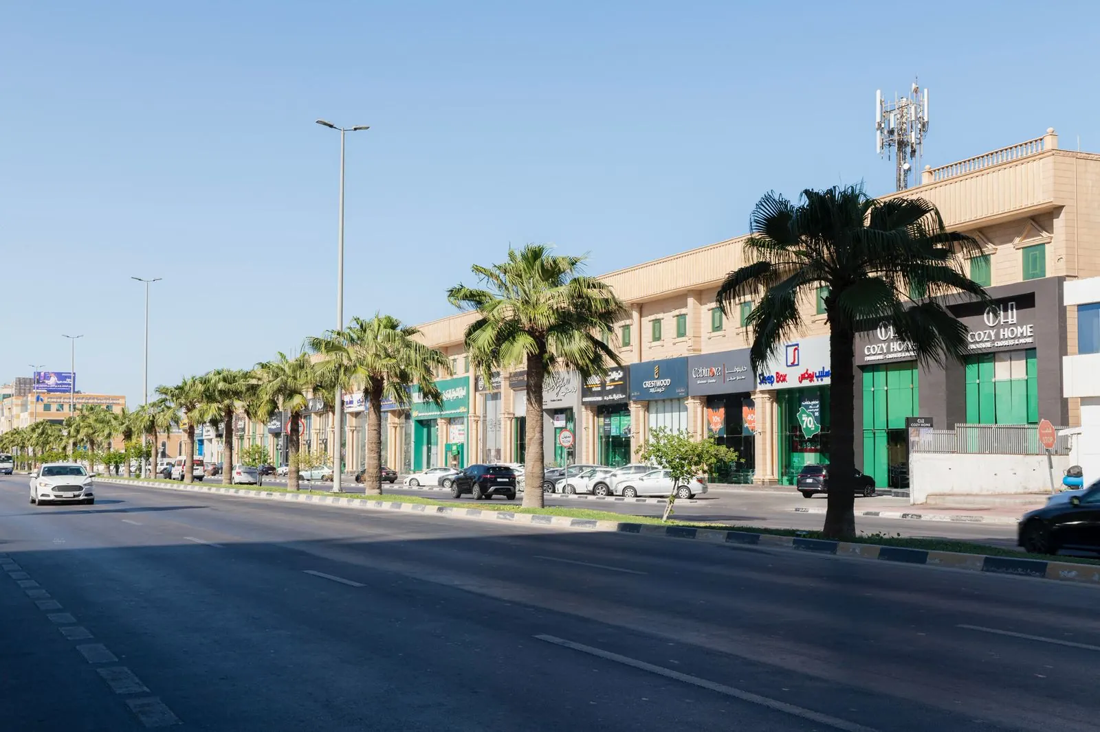 المجمع خلف صف من النخيل على امتداد الطريق، مع أعمدة إنارة وسيارات متوقفة.